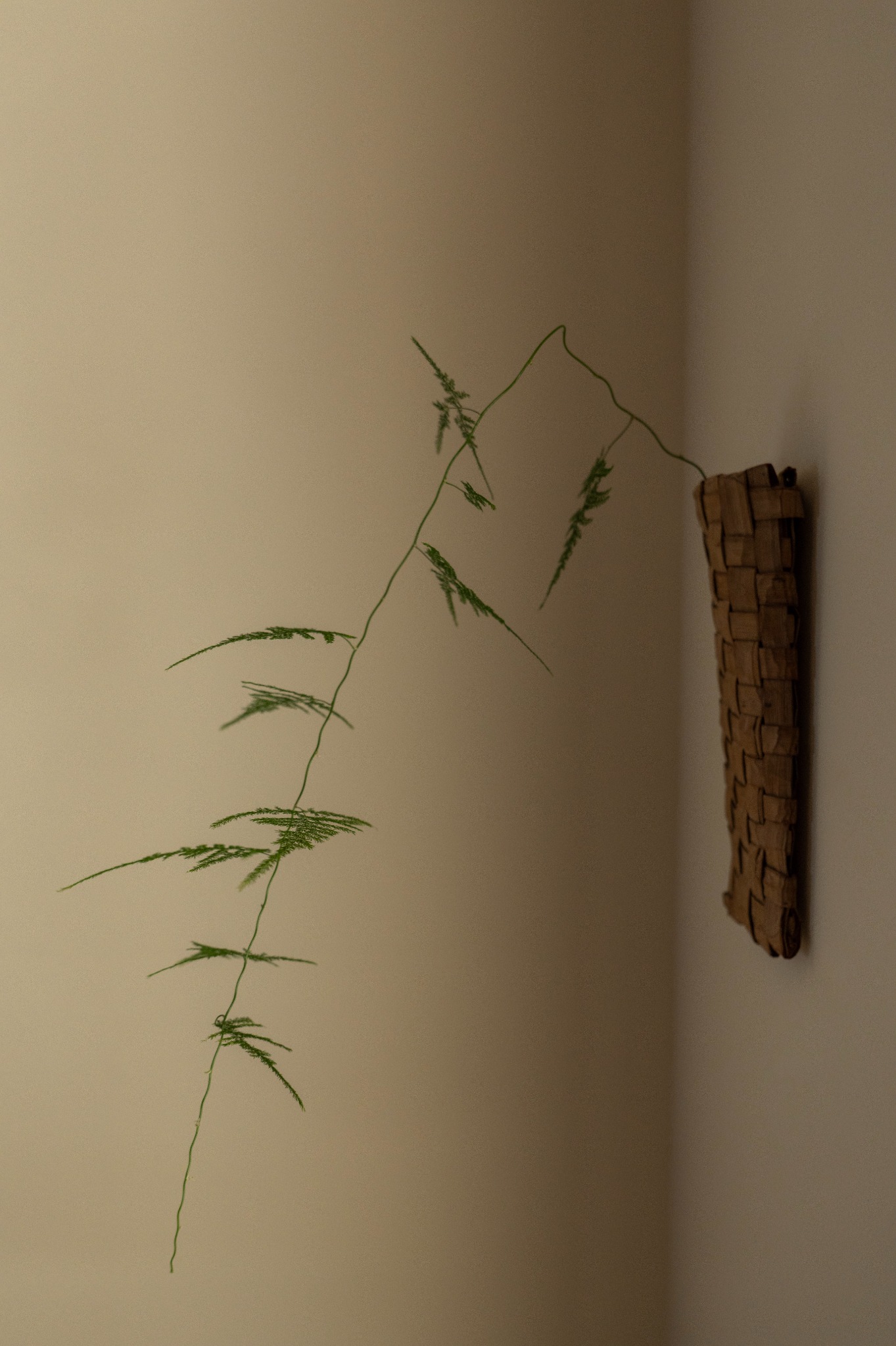 Delicate greenery beside a handcrafted woven wall vessel